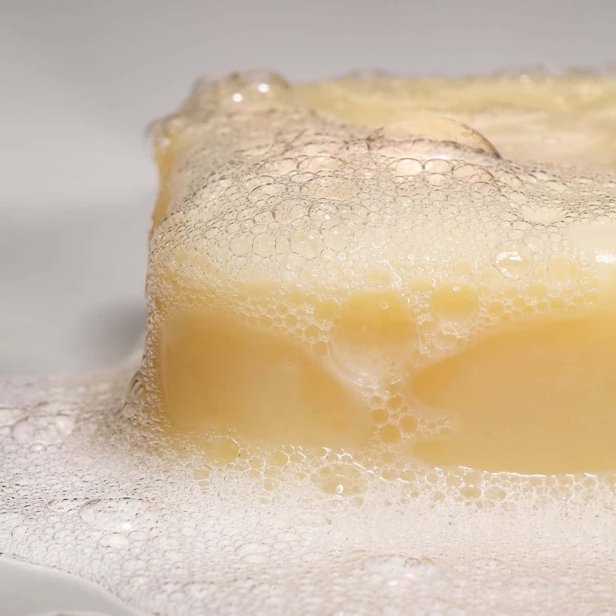 Tallow Soap (Unscented)