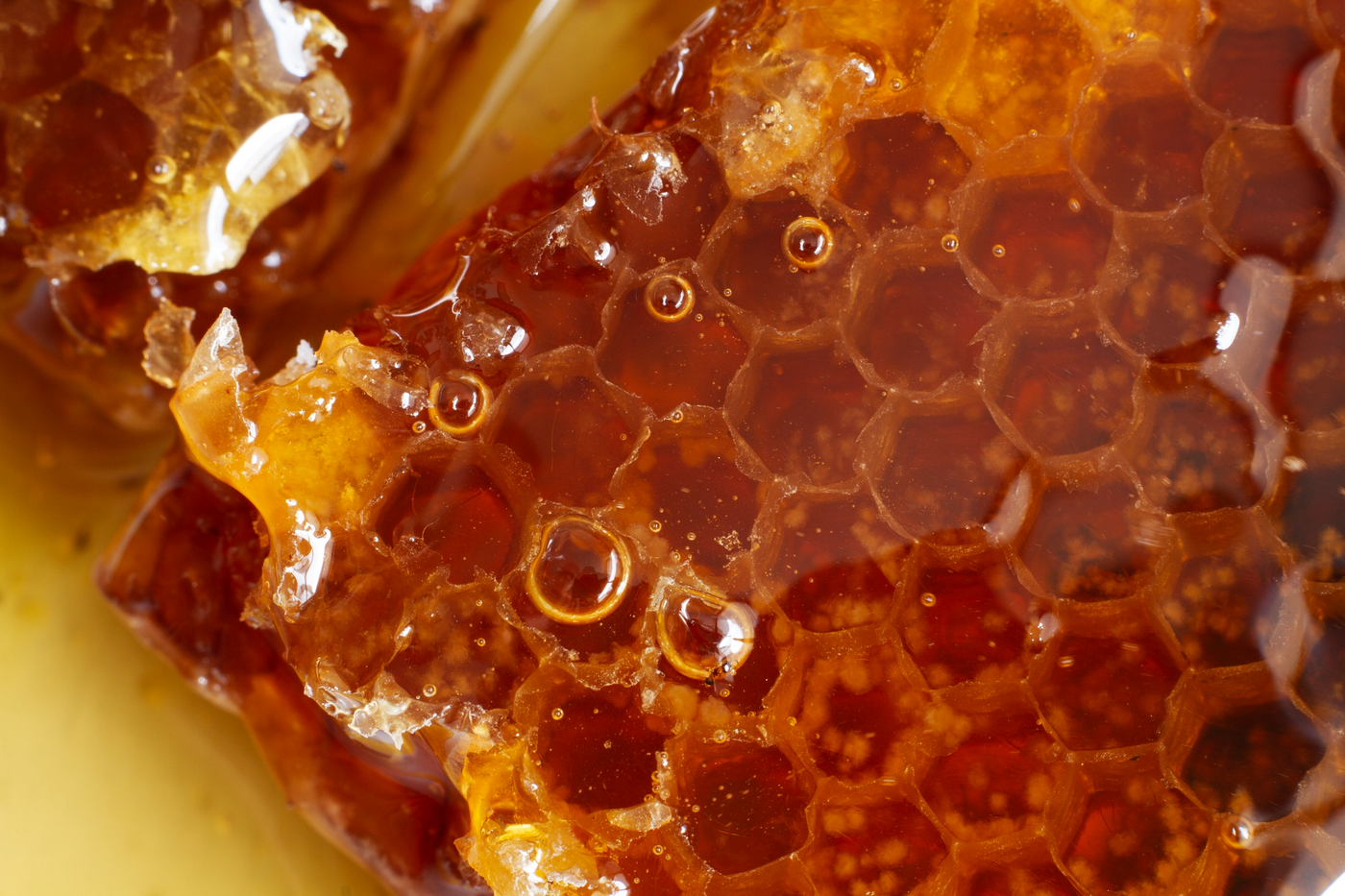 Natural ingredients used in Original Tallow and Honey Balm